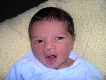 c'est papa qui a coup� tes tif!!!